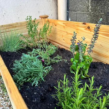 Privee Dans Maison Avec Jardin Potager